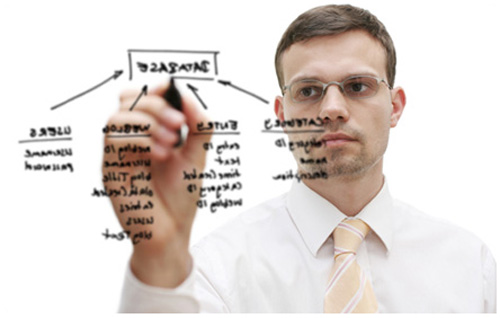Software Developer